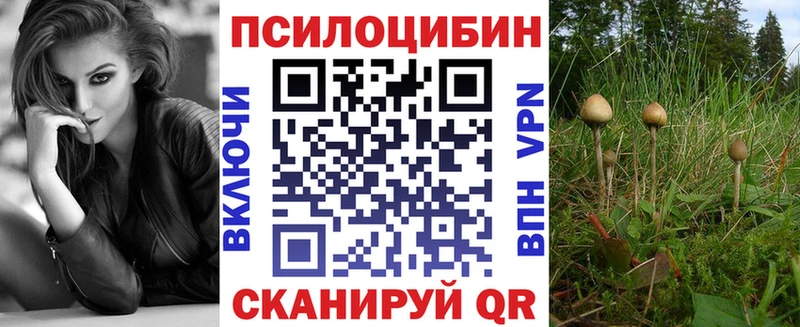 Псилоцибиновые грибы Magic Shrooms  ссылка на мегу как войти  darknet Telegram  Покровск 