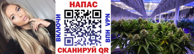 Бошки Шишки ГИДРОПОН  Покровск 